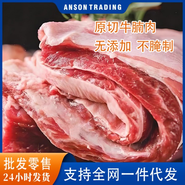 牛腩生牛肉新鲜冷冻整块原料原切进口真空包装大块红烧牛肉巴西