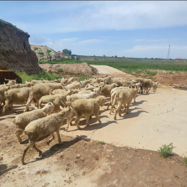 Four-dimensional health care