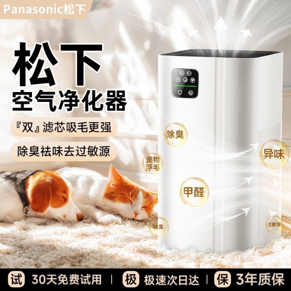 跨境空气净化器家用除二手烟吸毛宠物除甲醛净化机负离子臭氧礼品