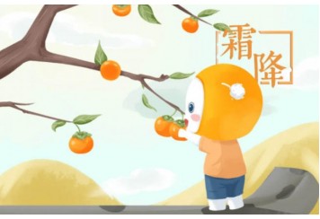 霜降要吃柿子吗