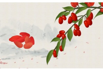 黑枸杞的正确吃法