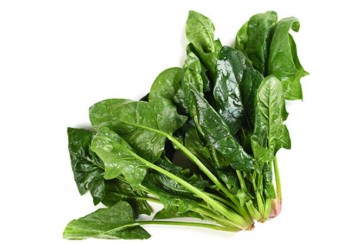 冬天提神醒脑的食物有哪些